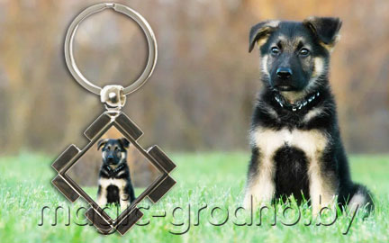 Брелок с логотипом